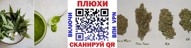 Canna-Cookies марихуана  Купить  Россошь 