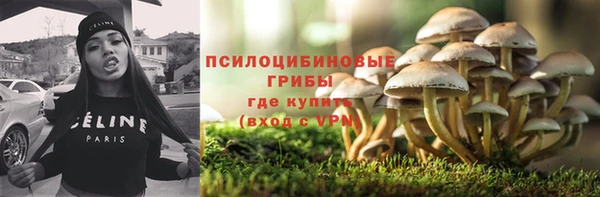 винт Арсеньев