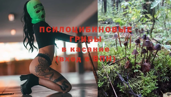 винт Арсеньев