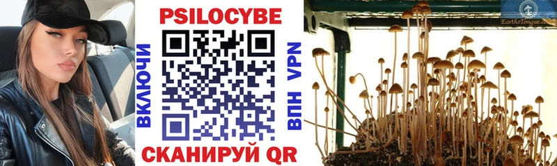 Купить где  Россошь  Галлюциногенные грибы Magic Shrooms 